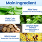 Ceoerty™ Deluxe Herbal Oral Care Mousse